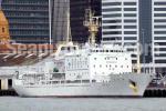 ID 6021 UMITAKA MARU (2000/1886grt/IMO 9231078) - a fisheries research ship of the Tokyo Univrsity of Marine Science. She is seen here alongside in Auckland, New Zealand.